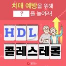 치매 예방의 열쇠 'HDL 콜레스테롤' 효능 이미지