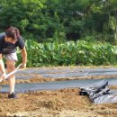 새사랑농장 이미지