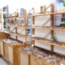 봄 안경원 이미지