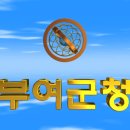 대한민국 충청남도 부여군청(扶餘郡廳) 3D 애니메이션 입니다 이미지