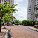 율하체육공원 분수광장 이미지