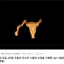 엠여성의원 | [직장인 임신준비] #3 엠여성의원 4D 나팔관조영술 후기 (가격, 통증, 인공수정 난임지원 신청-동대문구...