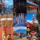 세븐일레븐 노유점 | 일본 도쿄 4박 5일 여행 코스, 경비 총정리