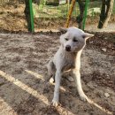 광주TNR동물병원(송정) 이미지