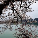 보문호수 이미지