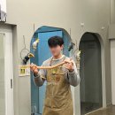 하이애니멀샵 이미지