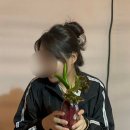 가로림횟집 | 글램핑 갬성 알겠다고요 !