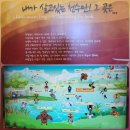 서산버드랜드 | 충남 서산) 서산 버드랜드 방문 후기(2025.07.06)