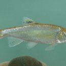 섬진강순환2 이미지