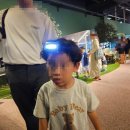 우리는 역사 탐험대 | [인천] 와일드 벅스 곤충탐험대 방문후기, 호기심 폭발 하는 6세 아동 왕추천 후기