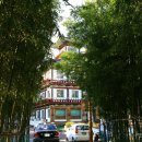 마야유치원 이미지