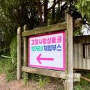 석정힐링하우스 305 | 고창 석정온천 휴스파 근처 석정 힐링하우스 305 1박 2일 여행