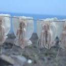 에프씨푸드