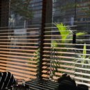 완산-131 이미지