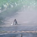 21세기미 이미지