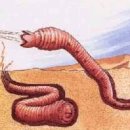 하계농장 이미지