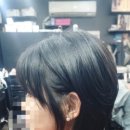 강희헤어샵 - 세종특별자치시 | 강희헤어샵