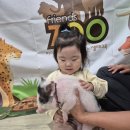 작은 동물원 이미지