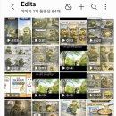 [역량강화2]디지털콘텐츠 공방-미리캔버스 | 동작청년취업사관학교 (AI 콘텐츠 마케터)새싹 6기 - 수료식, 포트폴리오 최종 정리