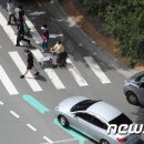 횡단보도 앞 이미지