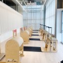 제이엘필라테스 | 식사동 필라테스 제이엘 필라테스에서 재활 후기