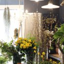 산수유아뜰리에 이미지