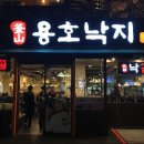 큰손낙지