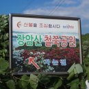 삼호보건진료소 이미지