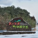 제주 붉은오름 자연휴양림 숲속의집 솔직후기 &amp; 상잣성 숲길 트레킹