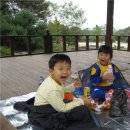 초록산산림욕장 이미지