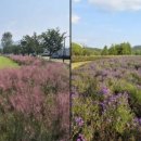 낙동강체육공원 자전거대여소 화장실 이미지