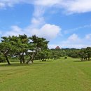 미리내스크린골프 이미지