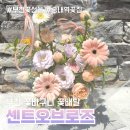경인로1185번길 | 부천 꽃바구니 선물 꽃배달 가능한 송내역 센트오브로즈