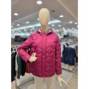 크로커다일레이디 이미지