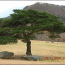 소호목장 이미지