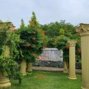 몽산포오페라하우스 이미지