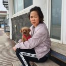 중앙통닭 이미지