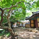 용진정사 이미지