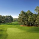 오거스타 골프클럽 이미지