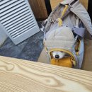 덕풍주유소 이미지