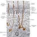 상현경희한의원 이미지