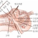 잠실보청기 이미지