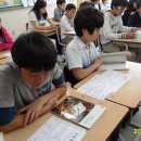 봉현초등학교 이미지