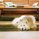 사진촬영과 표현 이미지