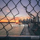 비돌