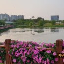 배다리저수지 주변 이미지