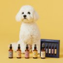 스니피드 이미지