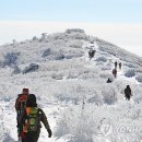 태백산 - 서구 완정로 151 | 태백산