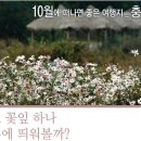 10월 당일 여행으로 가기 딱 좋은 충남 공주!! 이미지