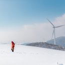 대구연합행정사사무소 이미지